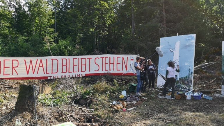 Intervention der Kunst im Reinhardswald