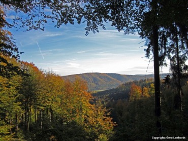 Die Zeit läuft – Ihr helft dem Wald – wir helfen Euch!