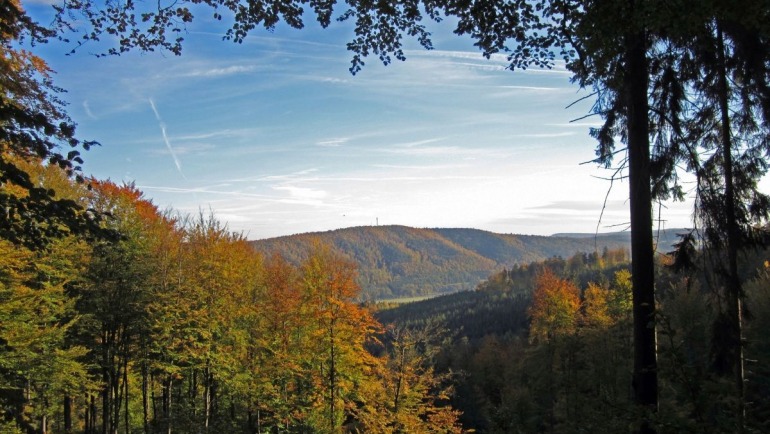 Die Zeit läuft – Ihr helft dem Wald – wir helfen Euch!