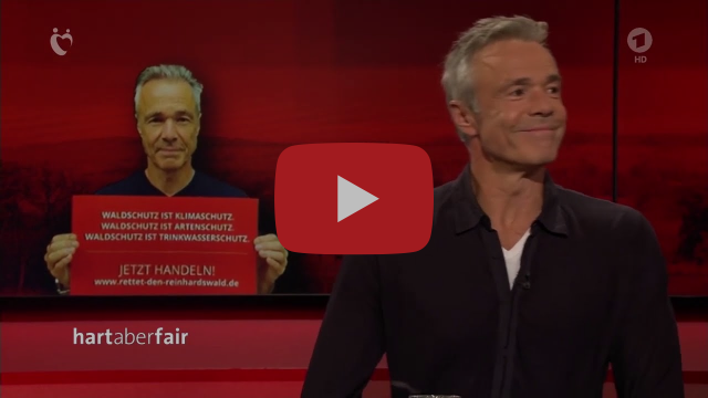 Schutz für den Reinhardswald  – Thema bei „hart aber fair“ und Greenpeace